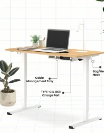 flexispot-malaysia-WISE-height-adjustable-standing-desk-sit-stand-table-best-seller-01