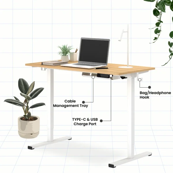 flexispot-malaysia-WISE-height-adjustable-standing-desk-sit-stand-table-best-seller-01