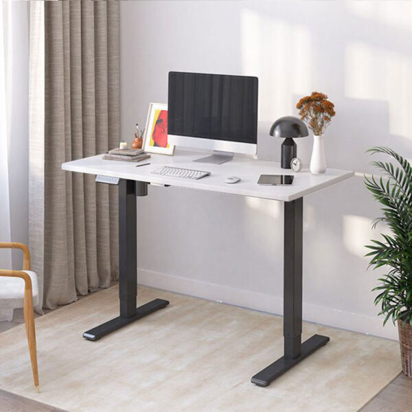 Flexispot top ergonomic office standing desk EF1B