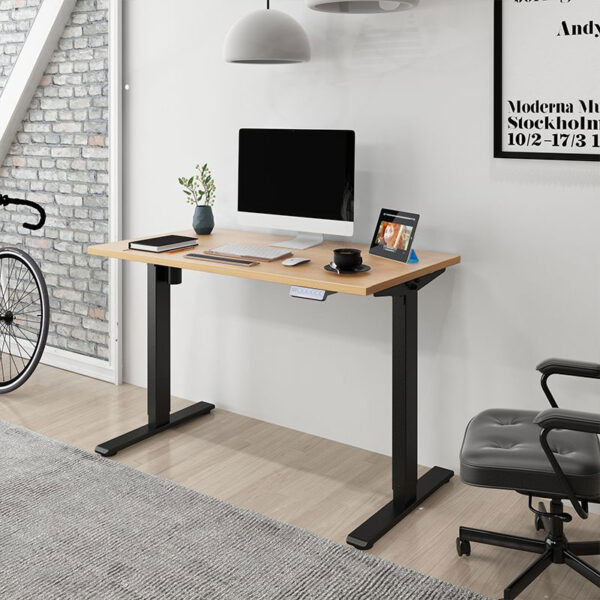 Electric Height Adjustable Standing Desk EF1 | Flexispot Malaysia