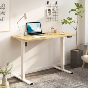 Flexispot top ergonomic office standing desk EF1W