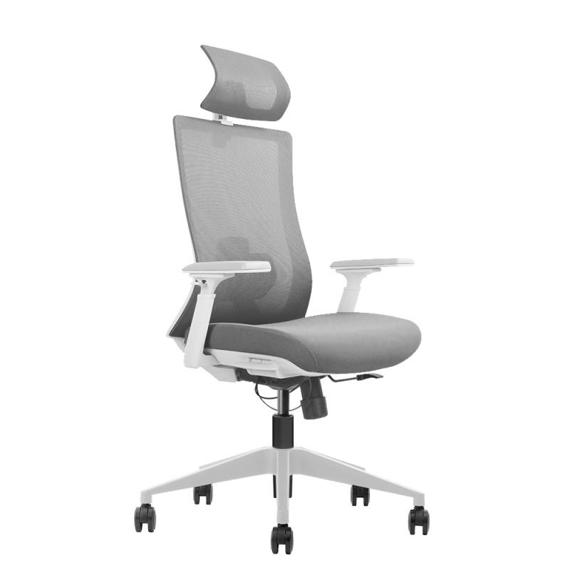 Malaysia Flexispot best ergonomic office mesh chair