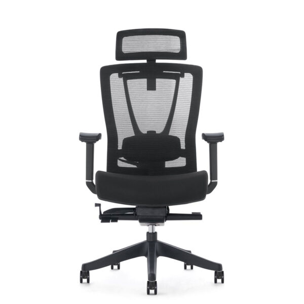 Flexispot top rated ergonomic office chair Malaysia