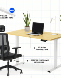 FLEXISPOT-electric-standing-desk-ef1-bundle-with-ihyper+-ergonomic-office-mesh-chair