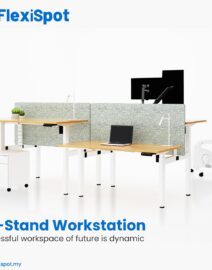 Flexispot-EF1-sit-stand-dual-bench-standing-desk-height-adjustable-workstation-cluster-of-2