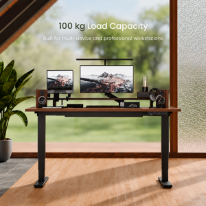 E5 Electric Height Adjustable Standing Desk | Flexispot Malaysia